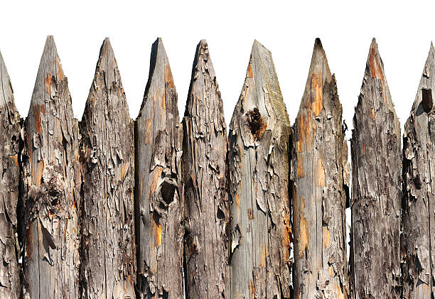 istock Stockade wooden fence seamless pattern isolated on white 542699938