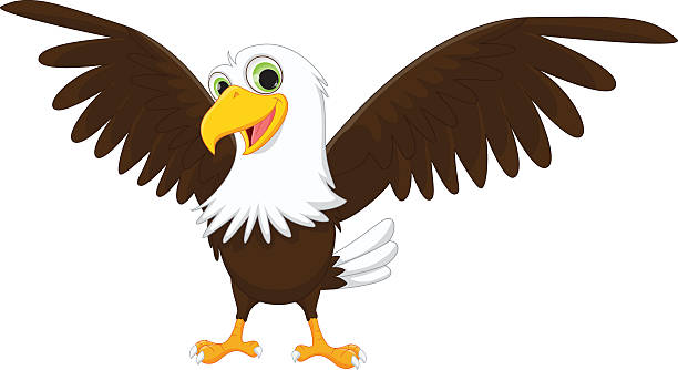 Eagle Cartoon Illustrations, Royalty-Free Vector Graphics & Clip Art -  iStock