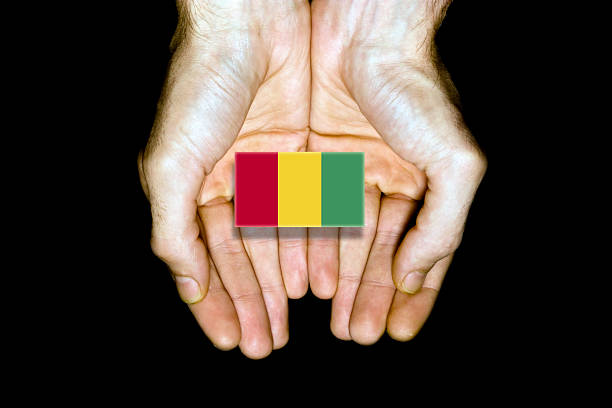 Flag of Guinea in hands isolated on black background.