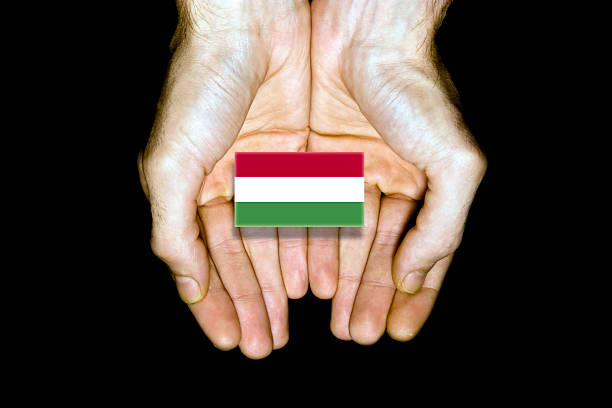 Flag of Hungary in hands isolated on black background.