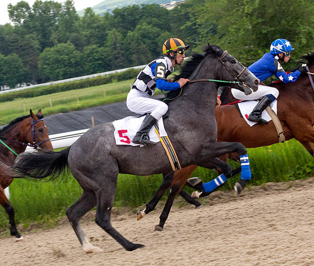 istock Horse racing in Pyatigorsk. 542701786