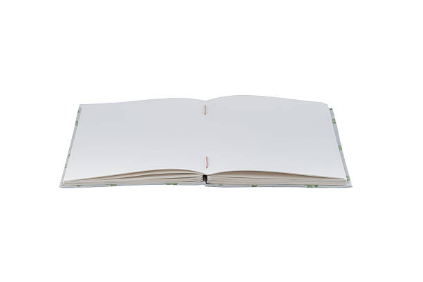 istock Closeup of open handmade book on white background 542703886