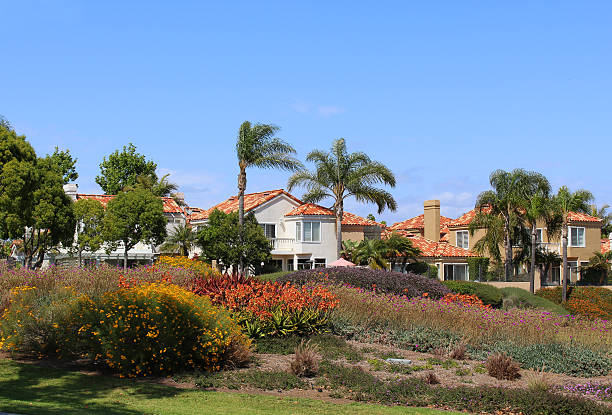 istock California home property 542707432