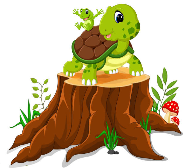 만화 귀여운 거북이 - safari animals wild animals animals and pets reptile stock illustrations