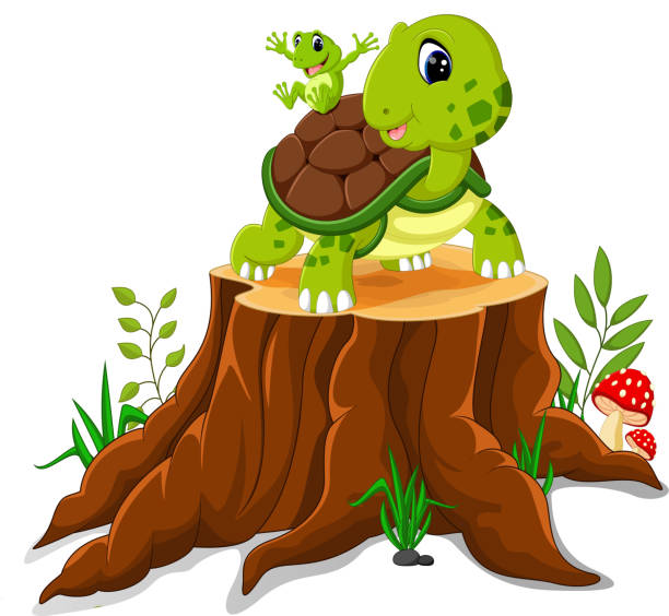 мультфильм милые черепахи - safari animals wild animals animals and pets reptile stock illustrations