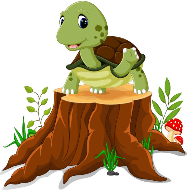 만화 귀여운 거북이 - safari animals wild animals animals and pets reptile stock illustrations