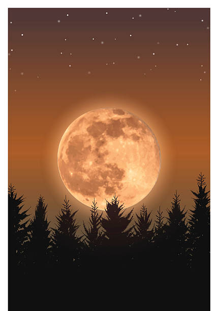 bildbanksillustrationer, clip art samt tecknat material och ikoner med rising full moon - moon forest