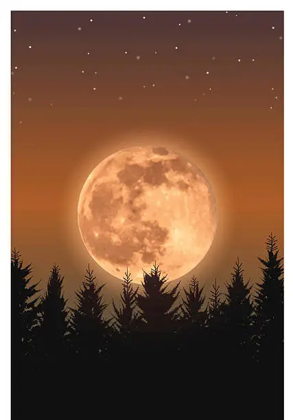Vector illustration of Rising full moon