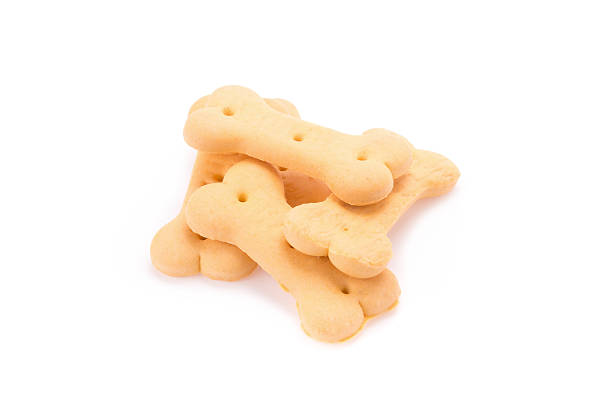 istock Dog food biscuit shaped like bones 542710392