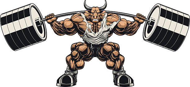 Strong bull Vector illustration, strong ferocious bull holds the barbell on your shoulders bull head man stock illustrations