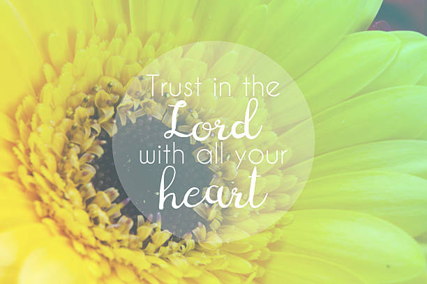 istock Inspirational verse from the bible on a blurred background 542714694