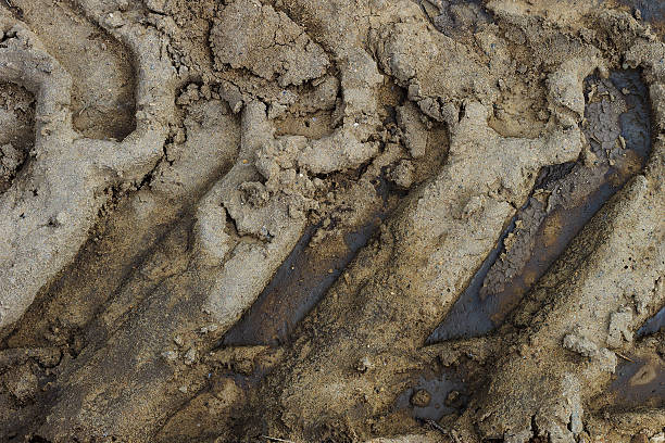 istock Tire Track on the ground 542715476