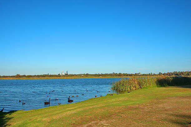 Green colours of the lake surroundings in Perth area.