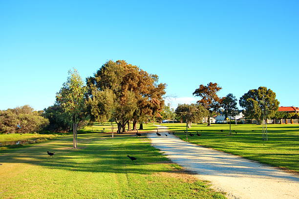 Green colours of the lake surroundings in Perth area.
