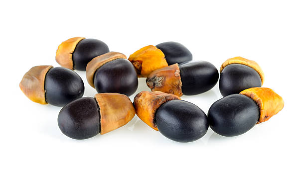 istock Ormosia (Makha) Seeds on white background 542716538