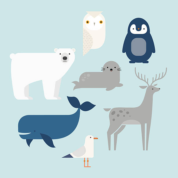 ilustraciones, imágenes clip art, dibujos animados e iconos de stock de animales polares - symbol sea animal owl