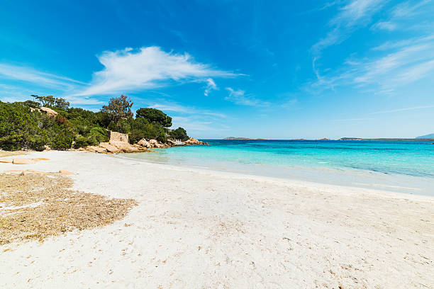 istock white sand in Capriccioli beach 542721244