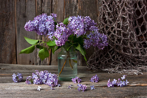 istock Still life with lilac flowers 542723218