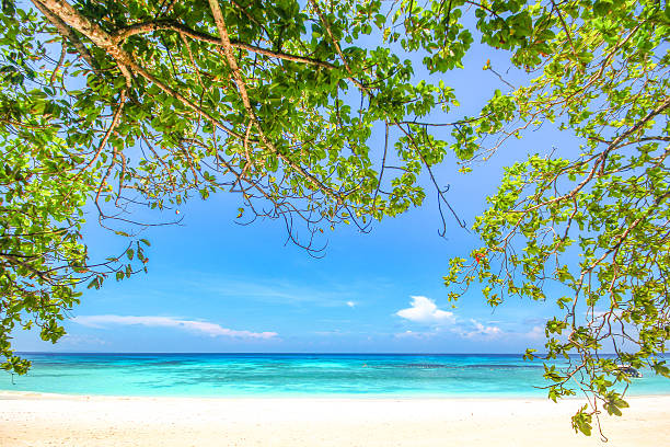 istock Tachai Island beach in Phang nga, Thailand 542724764