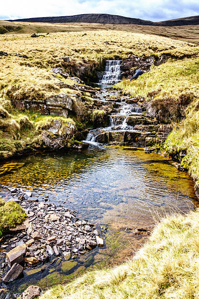istock Welsh river on edge of the Brecon Beacons 542725504