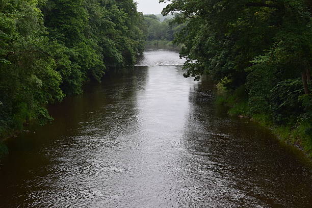 istock Downstream on the River Ayr from Auchincruve Bridge 542729028