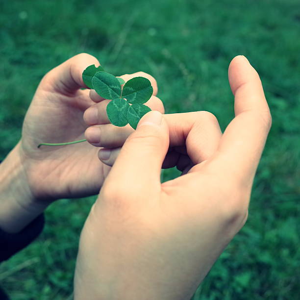 istock Four Leaf Clover - A symbol of good luck 542790894