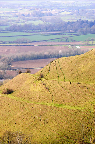 Hambledon Hill The earthwork ramparts of the iron age hill fort at Hambledon Hill in the Blackmore Vale area of north Dorset, England. blackmore vale stock pictures, royalty-free photos & images