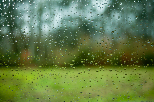 Garden through the window glass covered with raindrops in a rainy day, green meadow in the foreground, trees in the background. 