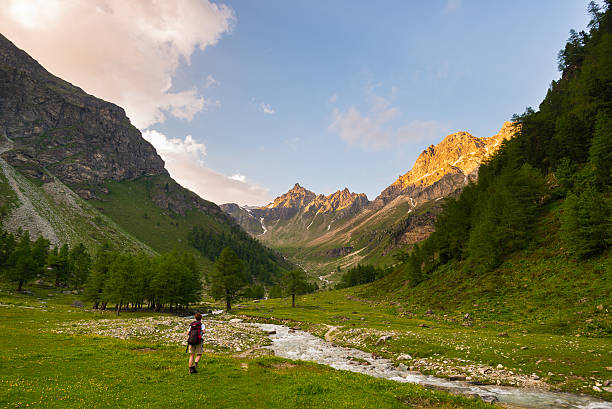 Backpacker hiking in idyllic landscape. Summer adventures and exploration on the Alps. Stream flowing through blooming meadow and green woodland set amid high altitude mountain range at sunsets. Valle d'Aosta, Italy.