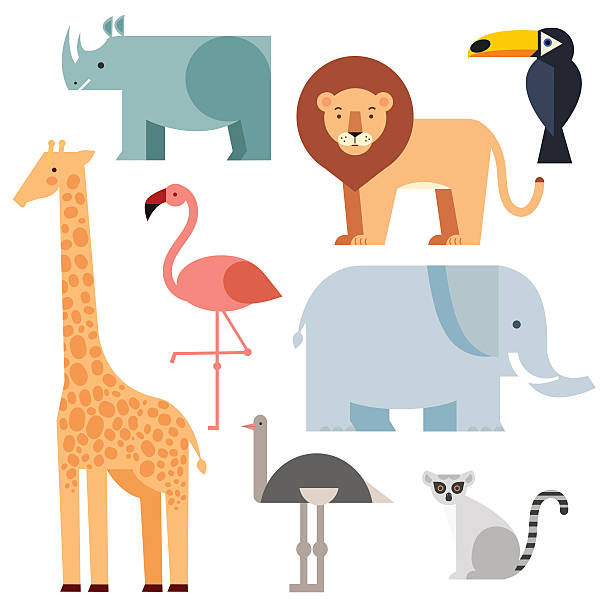 Jungle animals icons set Jungle animals icons set isolated on a white background. Vector illustration of cute animal set including lion, giraffe, rhino, elephant, toucan, lemur, ostrich and flamingo. elephant vector illustration stock illustrations