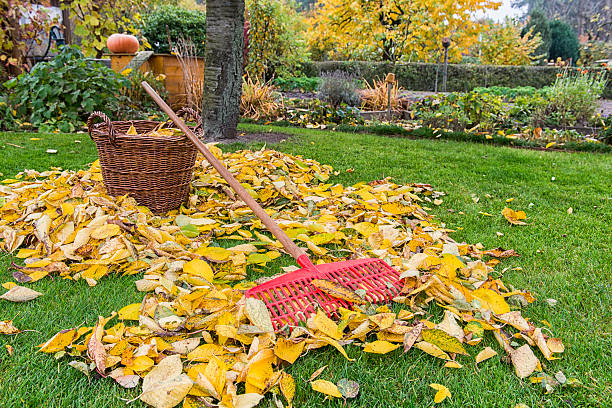 jesień-ogrodnictwo - gardening fork zdjęcia i obrazy z banku zdjęć