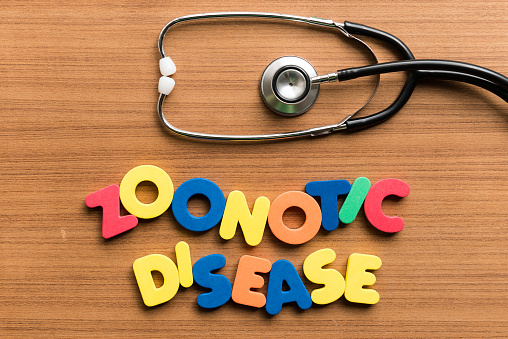 zoonotic disease colorful word with stethoscope on wooden background