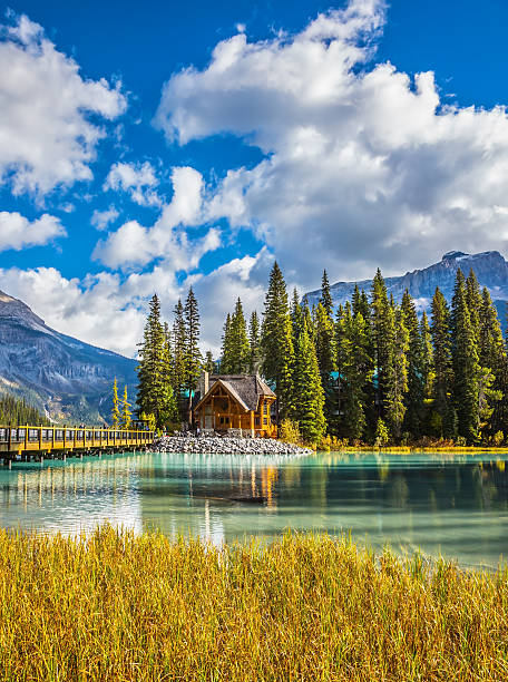 istock Wooden bridge over Emerald Lake 542800720
