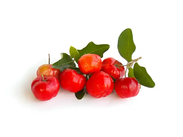 Acerola cherry on white background
