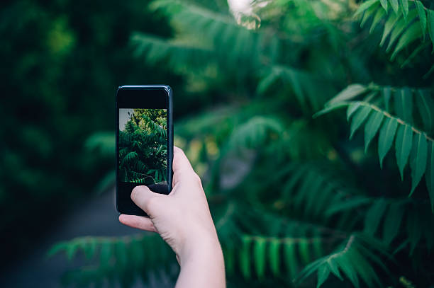 istock woman shooting grass on the phone 542802404