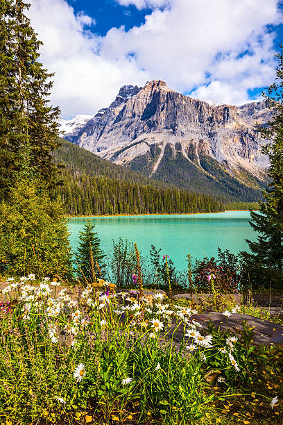 istock Rocky Mountains, British Columbia 542802740