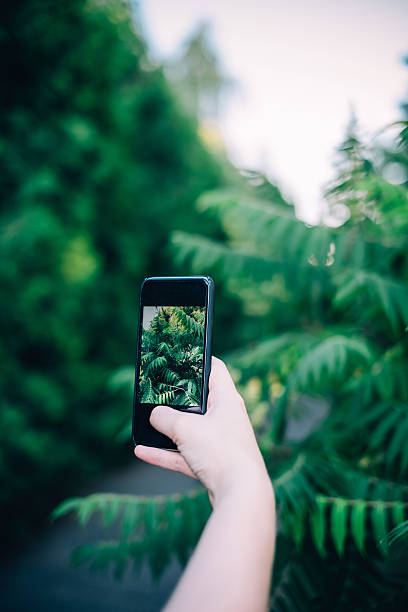 istock woman shooting grass on the phone 542803054
