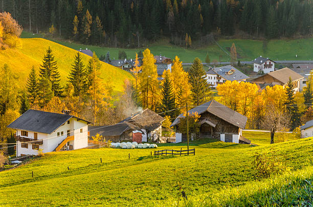 istock Alpine Village in Autumn 542806468