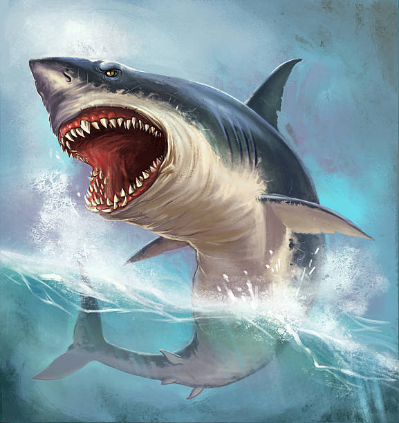 ฉลาม - เม็กกาโลดอน ภาพสต็อก ภาพถ่ายและรูปภาพปลอดค่าลิขสิทธิ์