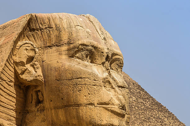 Sphinx Rye Sphinx Face