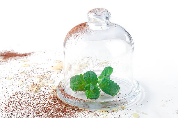 istock mint sprigs in clear glass 542811536