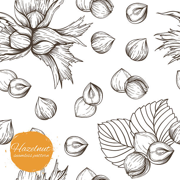 bildbanksillustrationer, clip art samt tecknat material och ikoner med seamless pattern - hazel tree