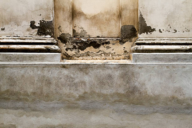 istock Old cracked vintage wall background texture. Close up. 542812370