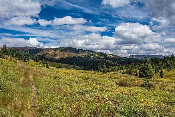 istock Hiking Trail in the Colorado Rocky Mountains 542814752