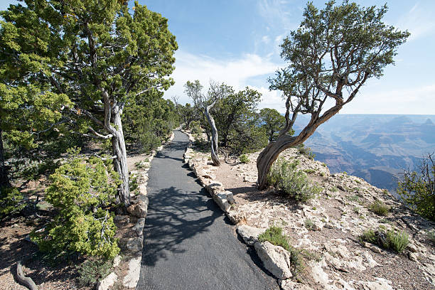 istock Grand Canyon South Rim 542817206