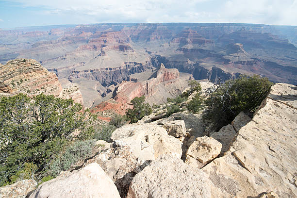 istock Grand Canyon South Rim 542817304