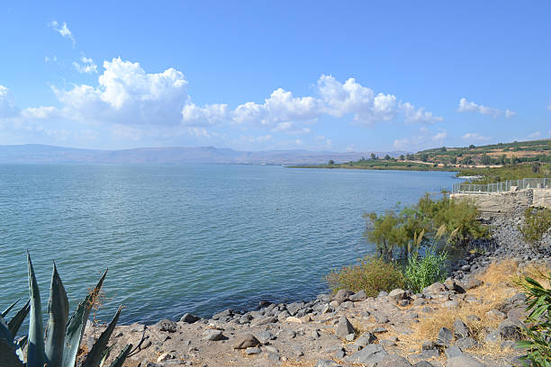 Galilean Shore On the shores of the Sea of Galilee in Israel sea of galilee stock pictures, royalty-free photos & images