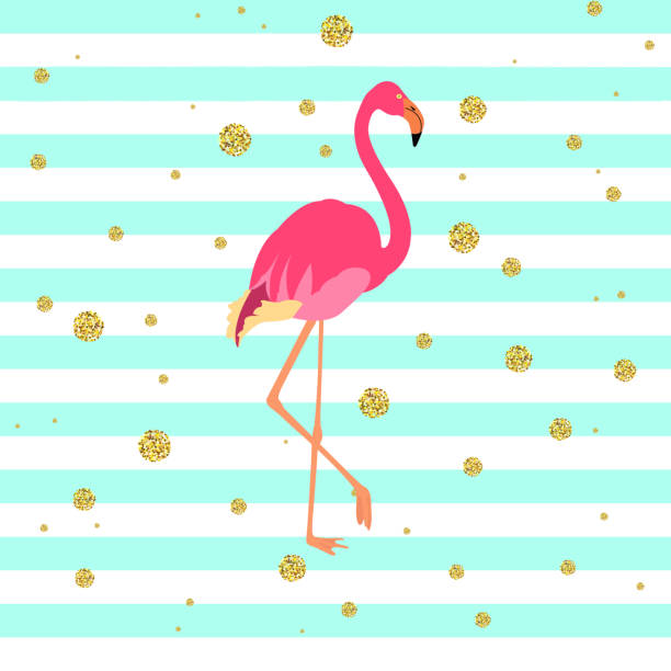 illustrazioni stock, clip art, cartoni animati e icone di tendenza di fenicottero rosa illustrazione - freshwater bird animals in the wild feather animal leg