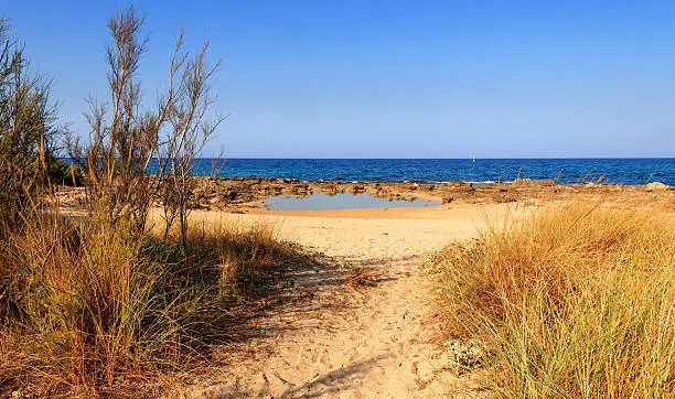 This stretch of coast, six kilometers long, includes a landscape strongly characterized by Mediterranean features, going from the sea beyond the dunes, through the Mediterranean maquis and the marshes, to a centuries-old olive grove. Each shape and color in the Park is influenced and shaped by the sea.