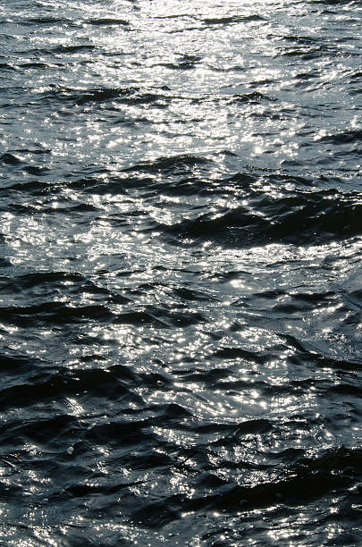 istock Texture of rippled sun-dappled river water 542820114